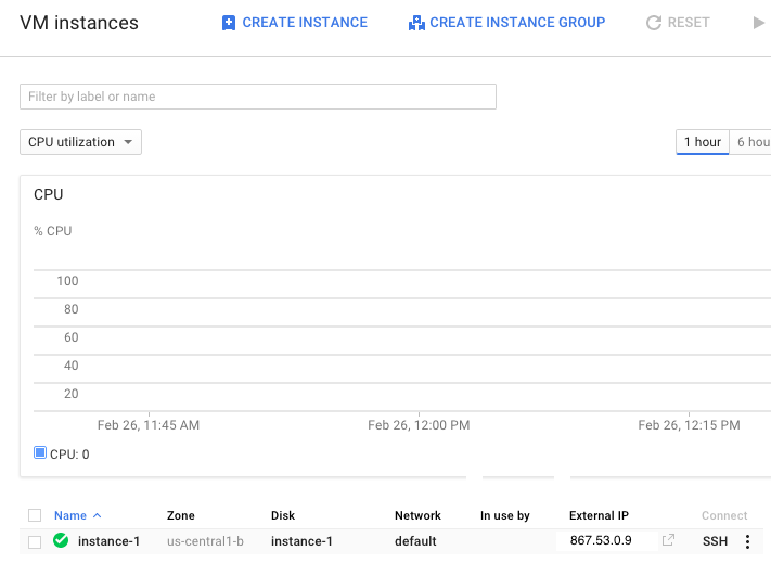 Google Compute Engine VM instance